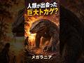 人類が出会った巨大トカゲ?メガラニアが怖すぎる #古代生物 #youtubeshorts #雑学 #メガラニア