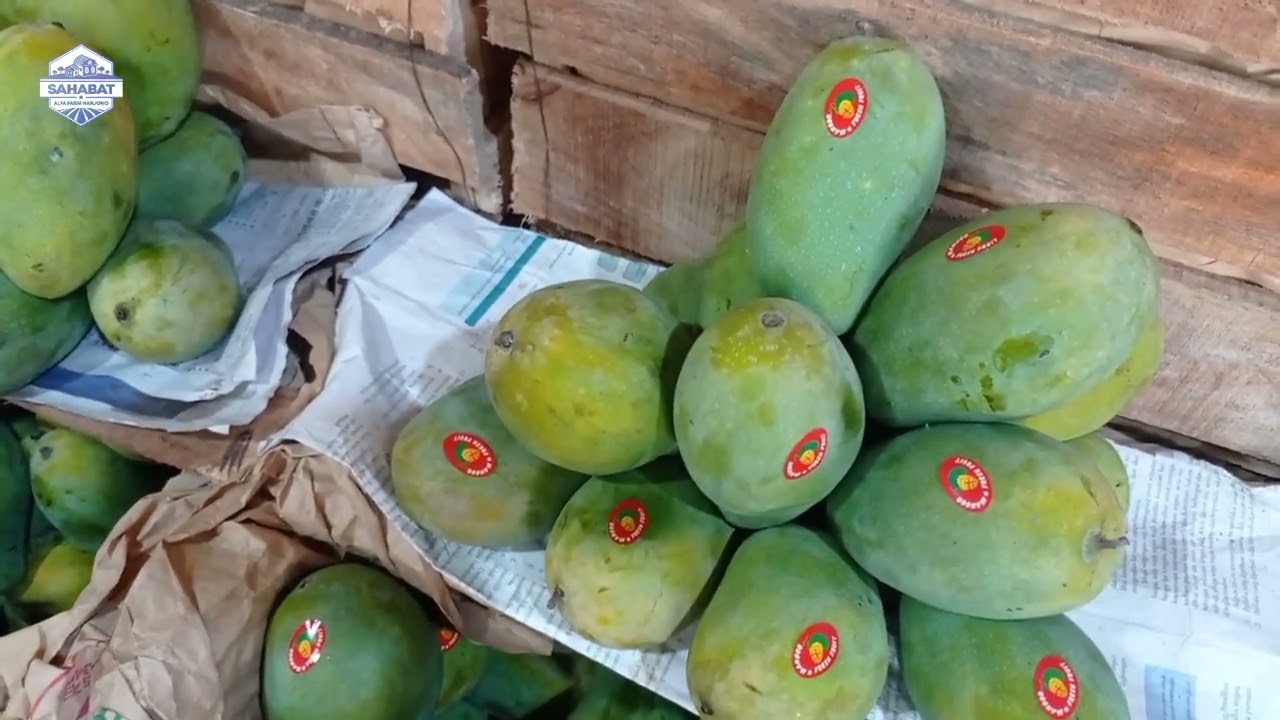 Rp. 19.000/Kg MANGGA KIOJAI‼️DI PASAR INDUK KRAMAT JATI AKHIR SEPTEMBER 2023