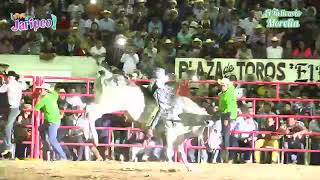 Gallito de Morelia vs lluvia de estrellas