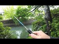 あの魚を釣る新釣法が楽しすぎる!