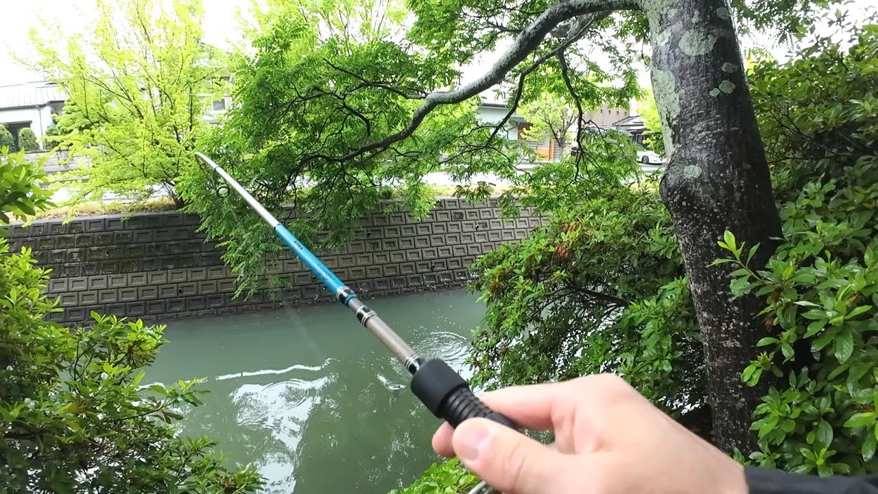 あの魚を釣る新釣法が楽しすぎる！