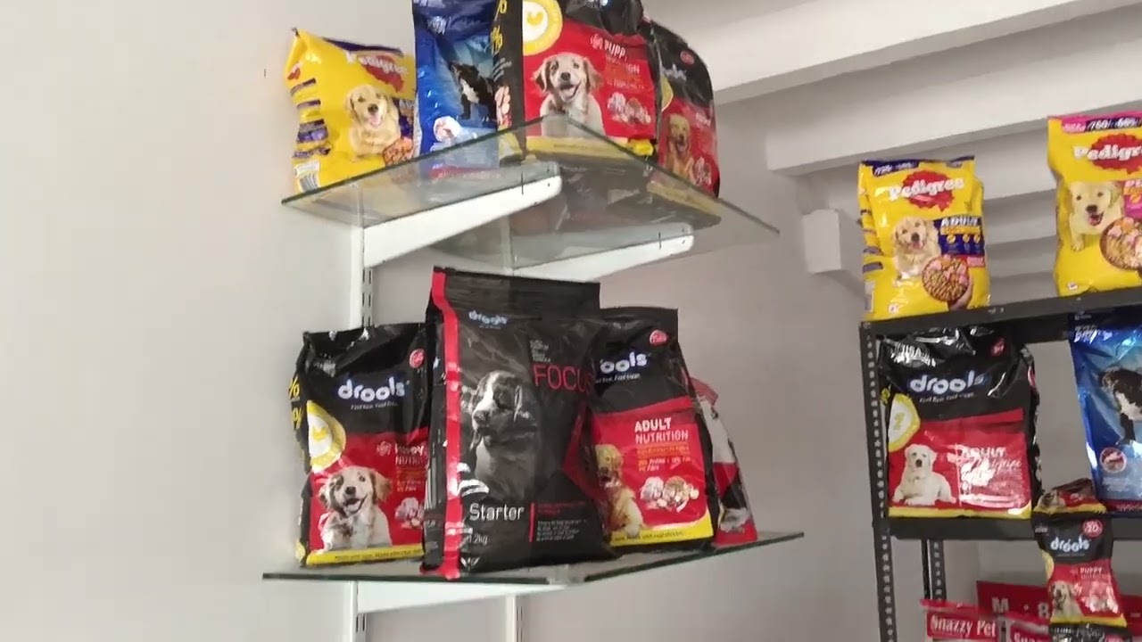 burberry dog kennel and pet shop in tarwar karnal all kind of dog feed,dog's puppy ,dog's accessory