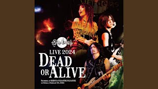 Apocalypse [Live 2024]