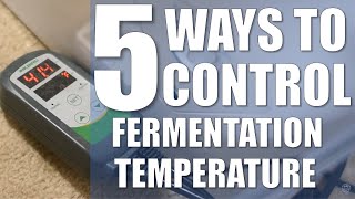 FERMENTATION TEMPERATURE CONTROL COMPARED | What is the BEST METHOD For You?
