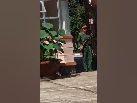 На севере острова - воинская часть вьетнамской армии - YouTube