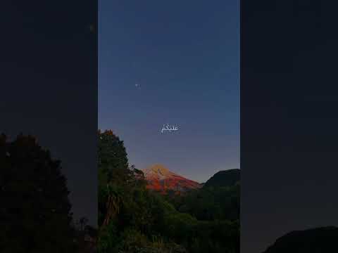 #quran #minshawi