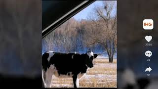 Output-Gaussianwithtts-1327