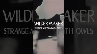 Strange Meeting With Owls by Wilder Maker