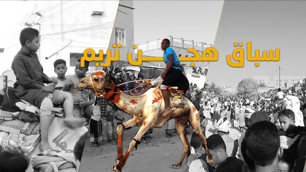 سباق الهجن فعالية سنوية في تريم حضرموت