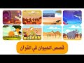 قصص الحيوان في القرآن للأطفال 8 قصص تعليمية للأطفال بطريقة ممتعة و بدون موسيقى