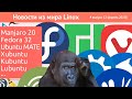 Linux новости. Большой выпуск. Manjaro 20, Fedora 32, Xubuntu, Ubuntu Горилла, Будильник в браузере