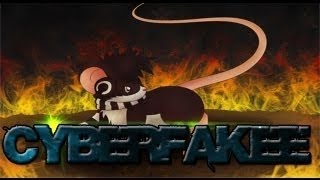 Cyberfakee - Racing Transformice