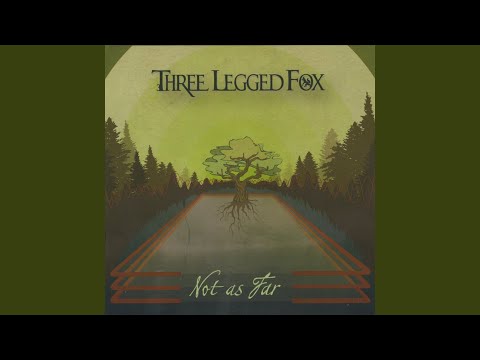 Maybe I'm Sorry - Three Legged Fox
