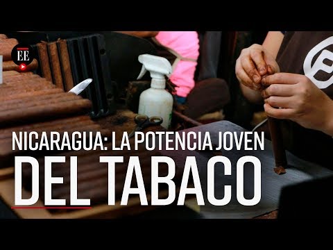 Video: 10 Mejores Cigarros De Según 'Cigar Aficionado