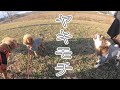 他の犬と仲良くする先住犬にやきもちを妬く弟犬が激しかったww