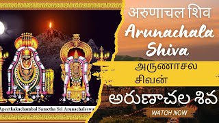 Arunachala shiva chanting | shiva songs | siva devotional songs | lord shiva songs