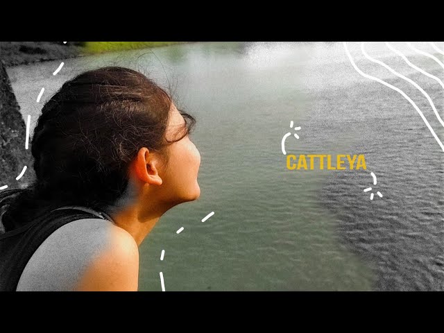 Agapeea - Cattleya (Official Lyrics Video) class=