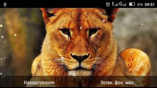 Savanna Lion HD live wallpaper screenshot 2