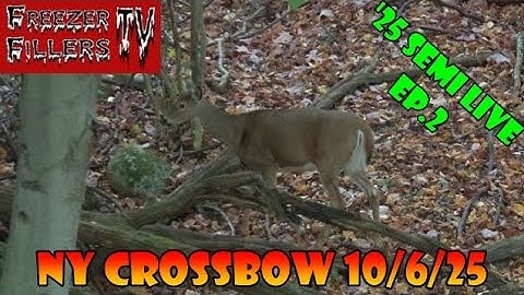 🦌 NY Crossbow Hunting! 10-6-2025 | Day 2 | Freezer Fillers TV 🎯