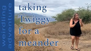 Taking Twiggy for a Meander: a Weirdling adventure
more weirdlings? here:
https://tinyurl.com/Weirdlings-christiFriesen
If you’d like to donate to the Christi’s Coffee&Chocolate fund to keep me highly motivated to keep sharing all my creative opinions and experiences with you forever & ever, here’s a donation link!
https://tinyurl.com/chocolateDonation
If you need chocolate or other yummy things to feed your own creativity (and who doesn’t!) here are some of my favorites:
https://amzn.to/3rHeiMz
music by Bensound.com Taking Twiggy for a Meander: a Weirdling adventure