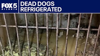 Two women arrested in Gwinnett animal cruelty case | FOX 5 News