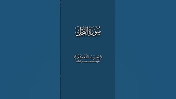 ﴿ وَضَرَبَ اللَّهُ مَثَلًا ﴾ سورة النحل بصوت عبدالرحمن مسعد #عبدالرحمن_مسعد