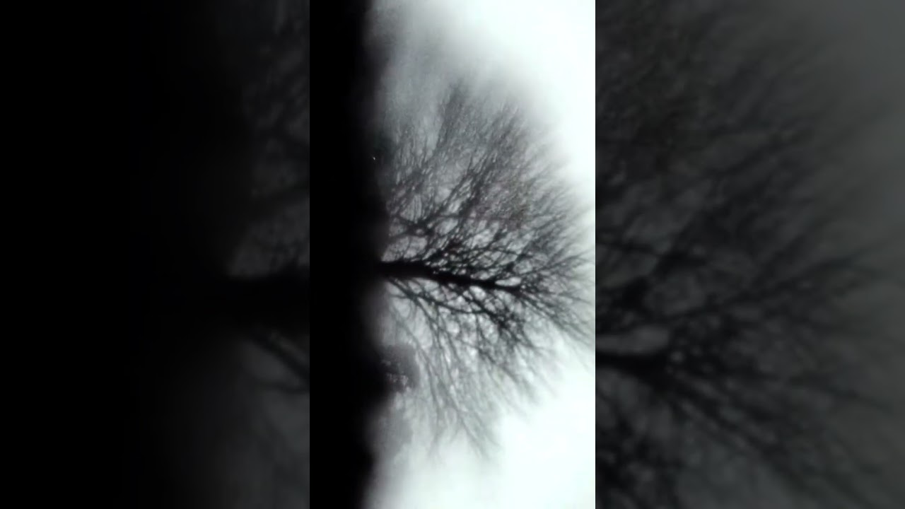 ESTHETIC GLOOM - CRT CULT MULTI KIT 