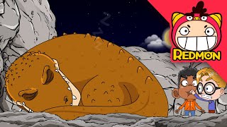 How did dinosaurs sleep? | Exploring dinosaurs | REDMON