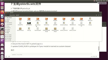【目标检测】YOLOv5推理加速实验：TensorRT加速