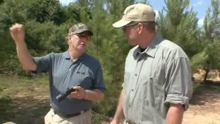 Gun Talk TV - Aimpoint Hunter Series Sights