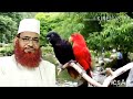 Amazing quran recitation surahqadr in natural environment  ustaz qari abdul gofur