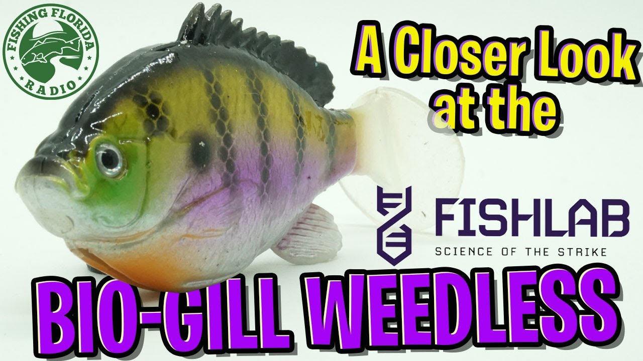 A Closer Look at the Fishlab Bio Gill Weedless Swim Bait - Largemouth Bass  Fishing 
