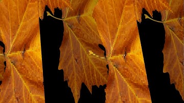 Bizarre rendering quantization bug in shader