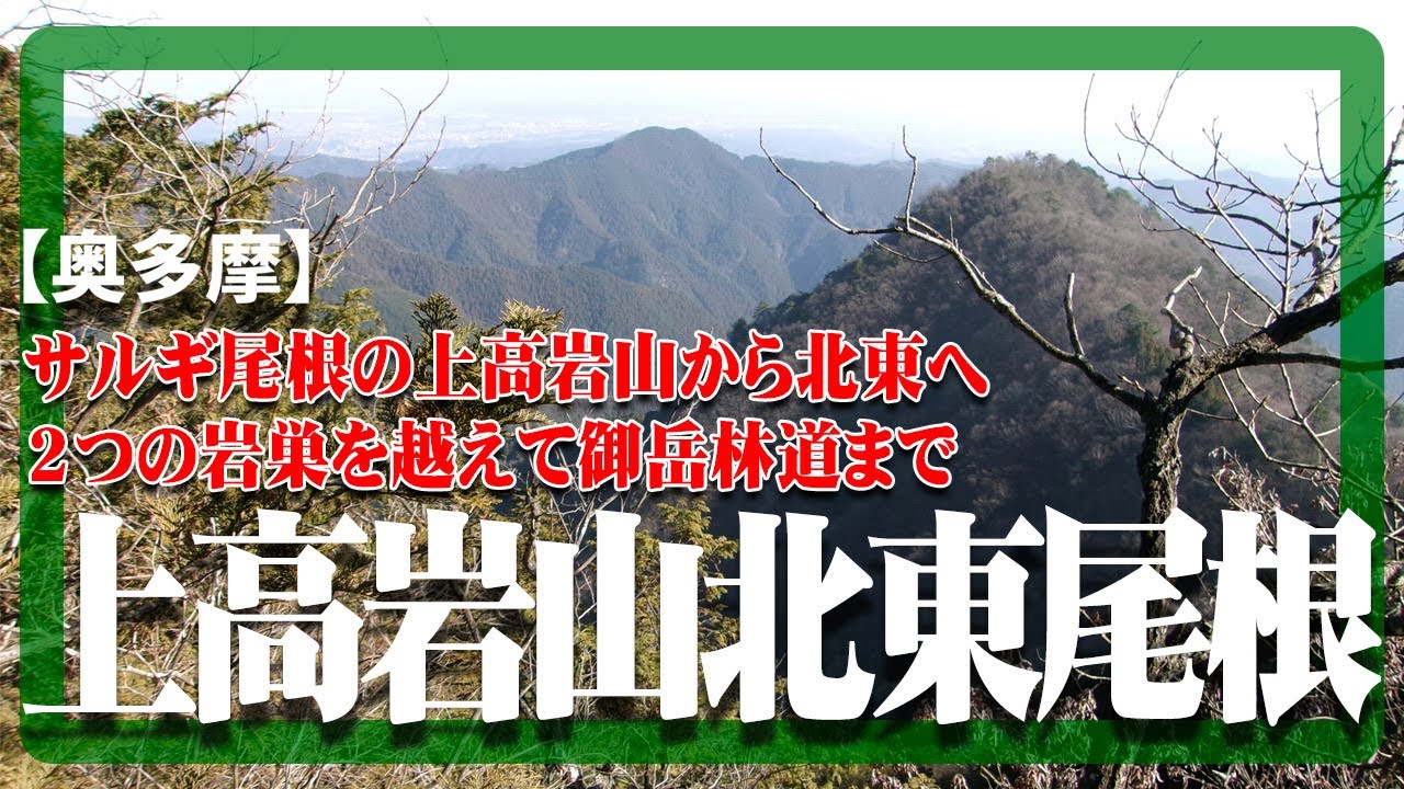 【奥多摩】上高岩山北東尾根を下った映像です。　Kamitakaiwayama-hokutoone in Okutama Tokyo Japan.