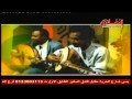 زيدان ابراهيم وعمر الشاعر وسط الزهور زيدان ابراهيم وعمر الشاعر وسط الزهور