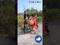 তেল চুরি করতে গিয়ে তেলের বাটা ফুটো করল 😱😵#shorts #funny joky video