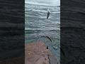 Ayaq Dia Penuh Ikan Tepi Tiang Jambatan