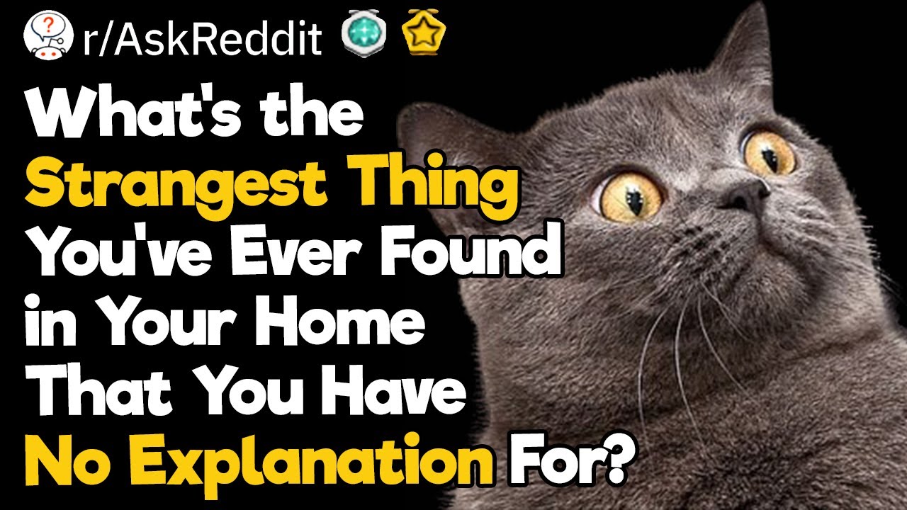 How Did This Appear in My House?