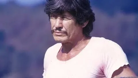 Charles Bronson: Life Story (Jerry Skinner Documen...