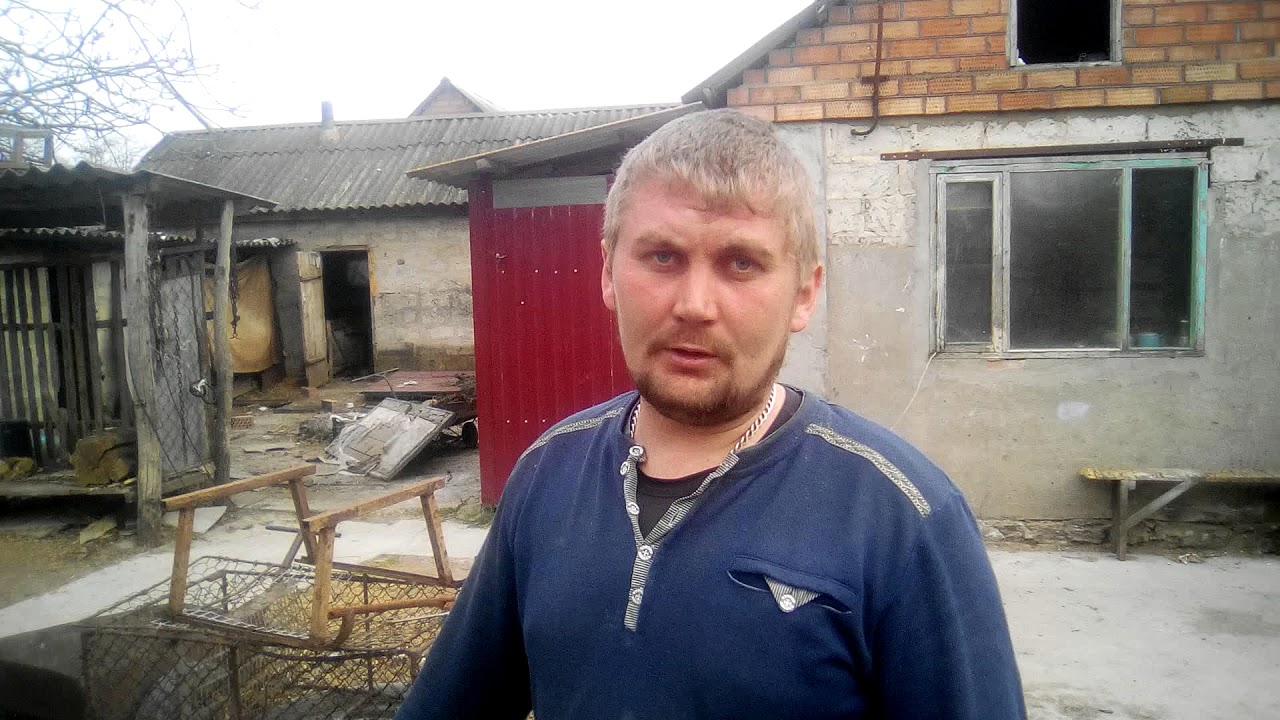 Kral puncher.отстрел на 50 метров.