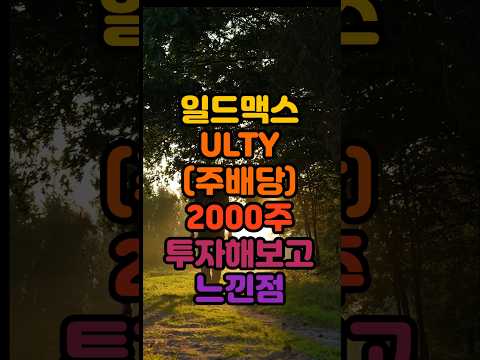 일드맥스 울티(ULTY)에 2000주를 한달간 투자해보고 느낀점