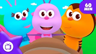 видео: 60 минут | Детские Песни| Любимые насекомые картинка: 60 минут | Детские Песни| Любимые насекомые