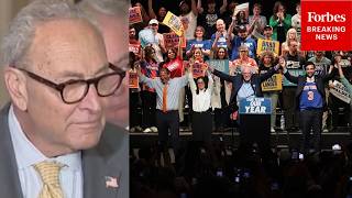 Schumer Asked: 'Do You Think Democratic Socialist Candidates Are Hurting The Democratic Party?'