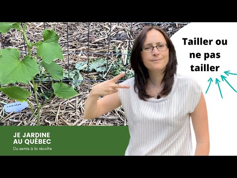 Vidéo: Pincer ou pincer les concombres est une technique agricole importante