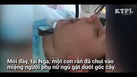 Rắn 1,2m chui vào miệng người phụ nữ đang ngủ.