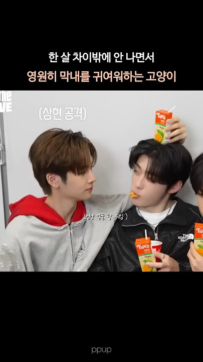 [ALD1] 정상현은 나에게 귀여운 사람이다 | #조우안신 #정상현