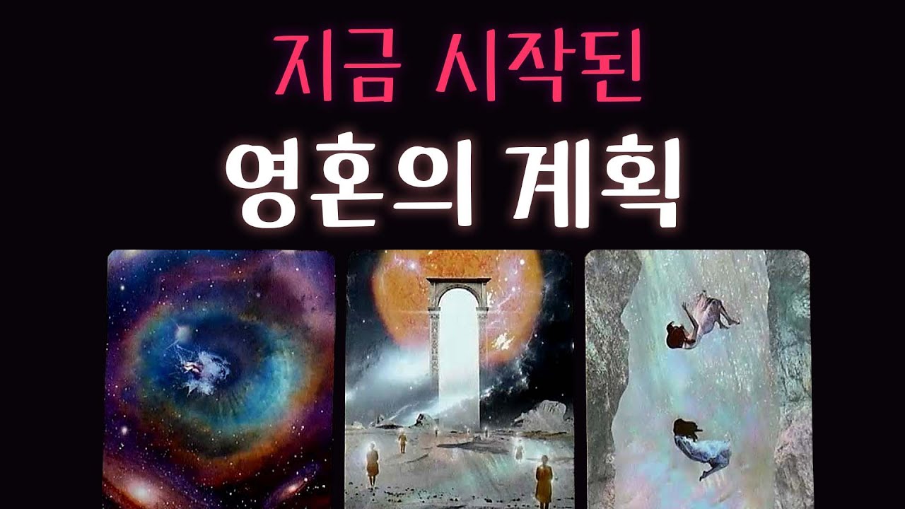 [타로] ✨지금, 움직이기 시작한 영혼의 계획🎉