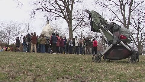 Students speak out on DC budget cuts door-to-door at US Capitol offices