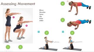 KIN 230 Human Movement part 2