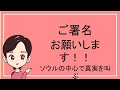 ソウルの中心で真実を叫ぶ！いよいよ署名活動！